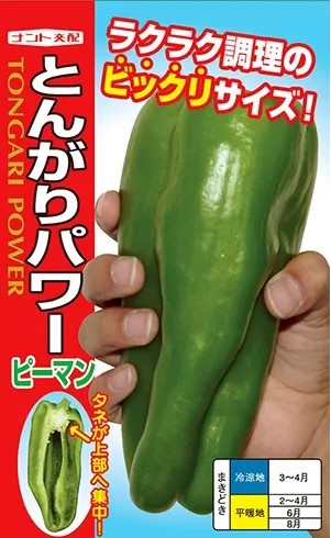 楽天市場】ピーマン 種 とんがりパワー ナント 種苗 家庭菜園 野菜の種
