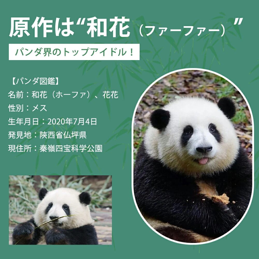 楽天市場】【ギフト対応無料】ぬいぐるみ パンダ 和花 花花 七仔