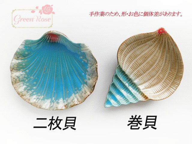 楽天市場】貝殻 陶器製 小物入れ 器 二枚貝 巻貝 1個 お皿 パーツ 小物