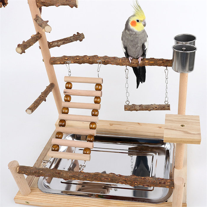 楽天市場】【高さ約45cm】インコ 遊び場 三層 バード アスレチック