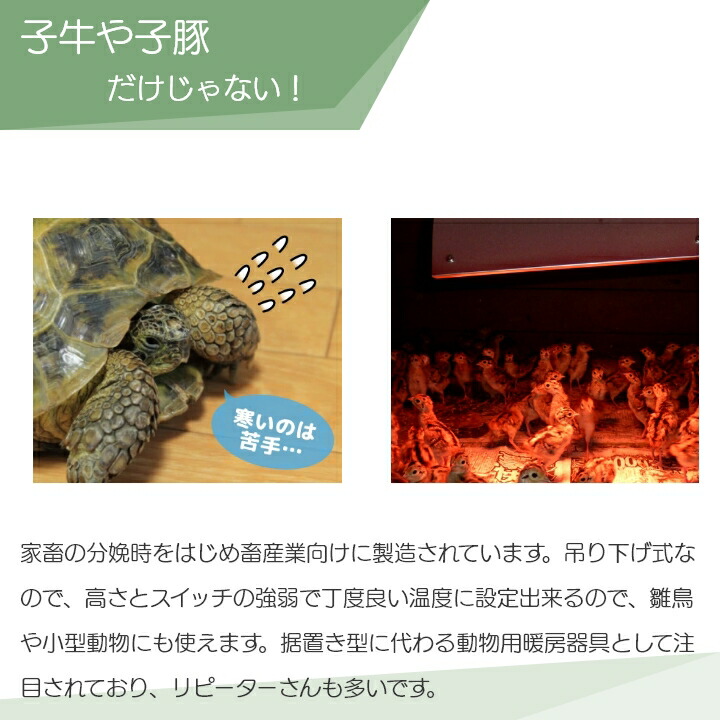 楽天市場】【在庫有】パナソニック 畜産用カーボンヒーター 畜産