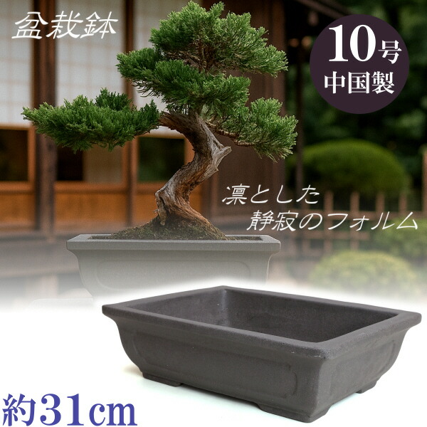 鉢 盆栽鉢」の人気商品一覧 | 安い商品を通販サイトから探す - 価格.com