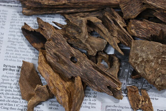 楽天市場】ベトナム産 天然沈香 高ランク甘味 5g 量り売り 沈水香木