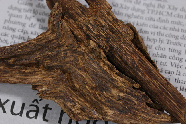 楽天市場】ベトナム産 天然沈香 高ランク甘味 10g量り売り 沈水香木