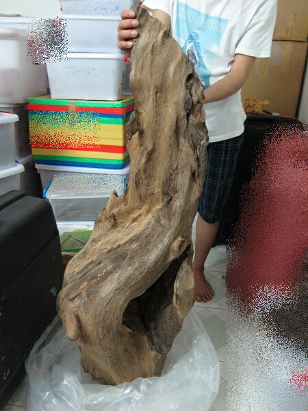 楽天市場】約28kg巨大天然沈香 大木 原木 香木 沈水香木 沈香 タイ