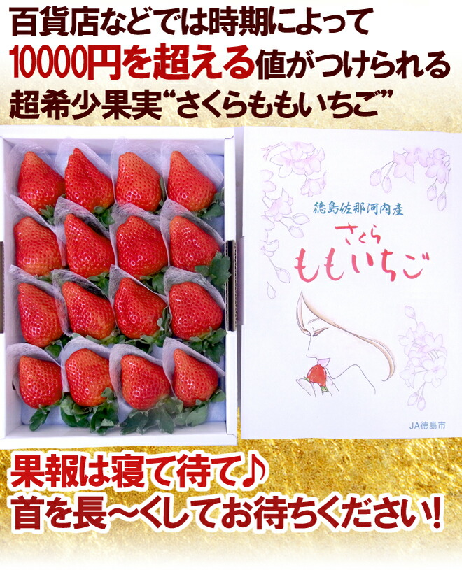 楽天市場】徳島県佐那河内産 ”さくらももいちご” 特大16粒 化粧箱
