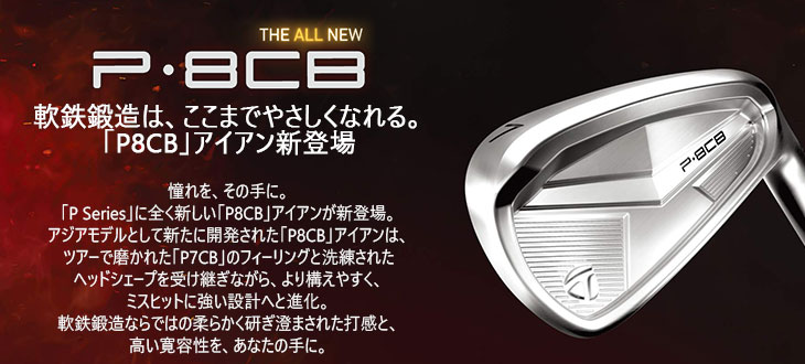楽天市場】テーラーメイド P8CB アイアン5本セット(6I-PW) 2025年