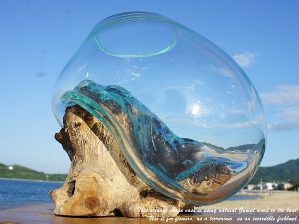 楽天市場】選べる 流木ガラスオブジェ XSP 花瓶 アクアリウム