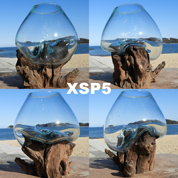 楽天市場】選べる 流木ガラスオブジェ XSP 花瓶 アクアリウム