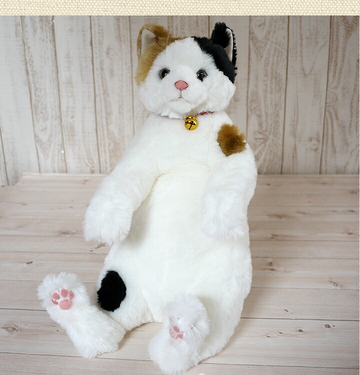 楽天市場】猫 ぬいぐるみ 小春 カドリー Cuddly 癒し 猫のぬいぐるみ