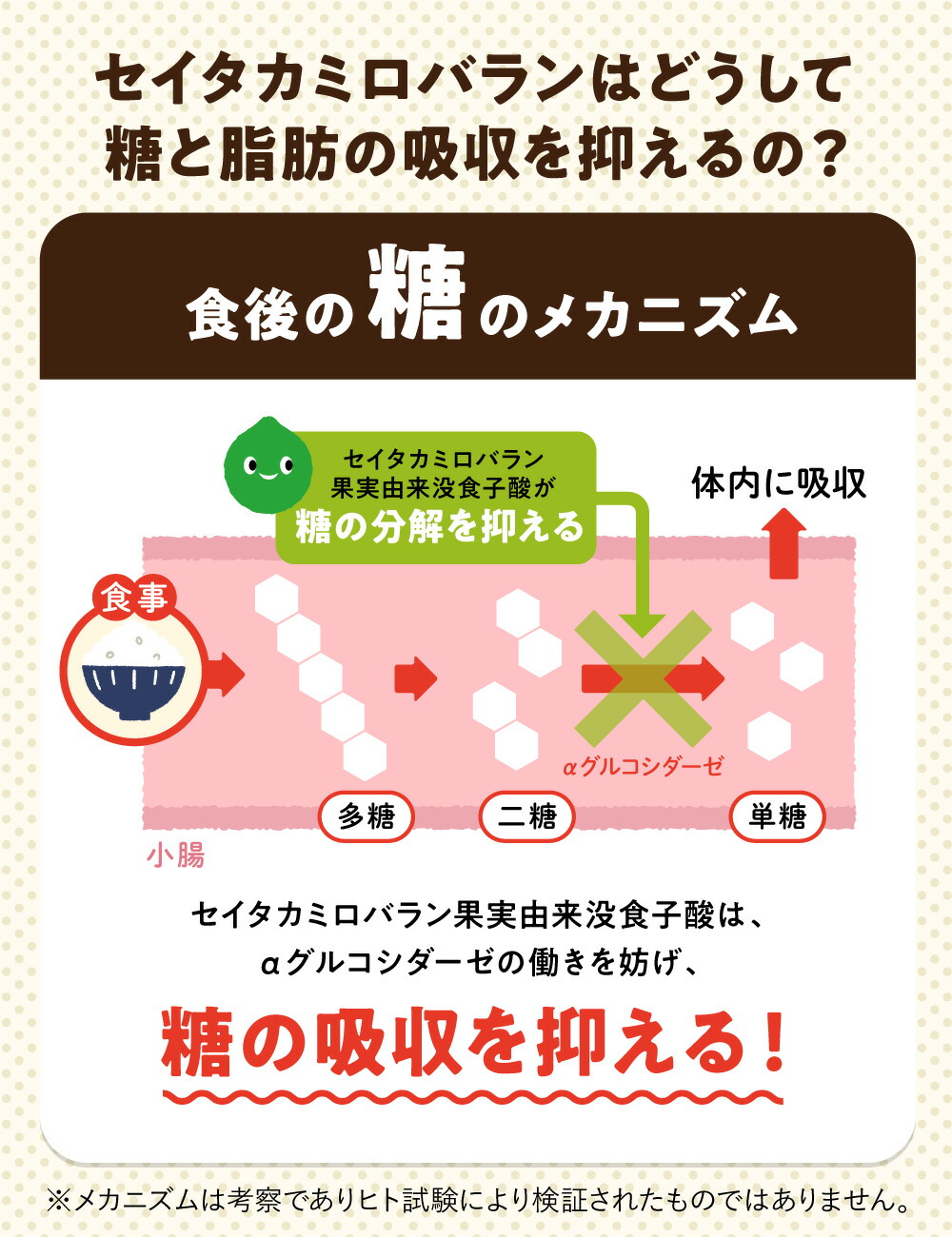 楽天市場】糖と脂肪の吸収を抑える ダイエットサプリ カロキュット 30