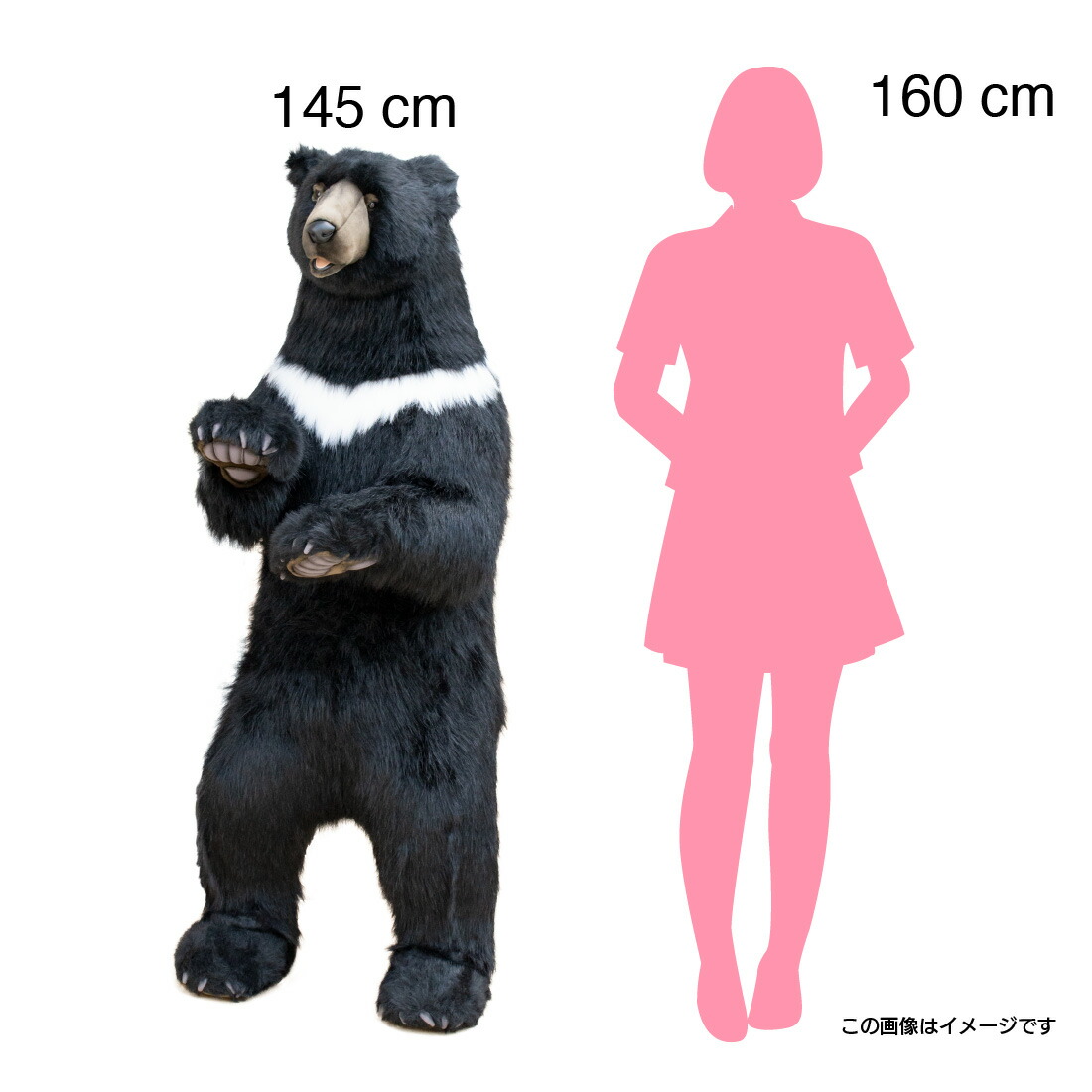 楽天市場】HANSA ツキノワグマ 黒クマ 158 高さ145(cm) 4920 クマ 熊