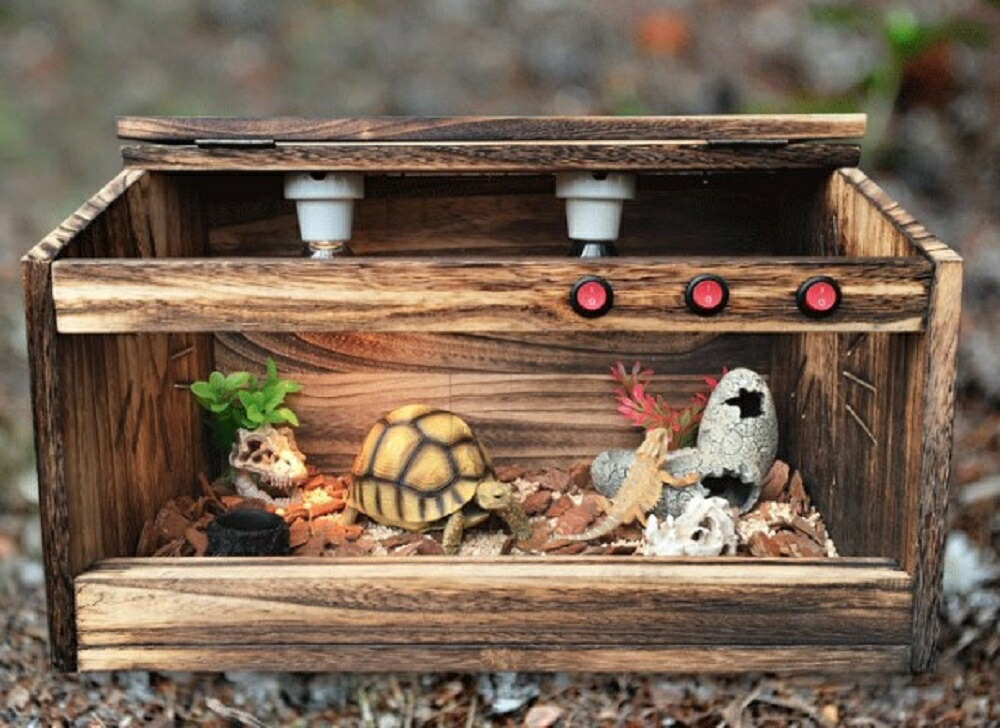 楽天市場】スーパーセール10％OFF 3/11終了 【在庫限り】【人気商品