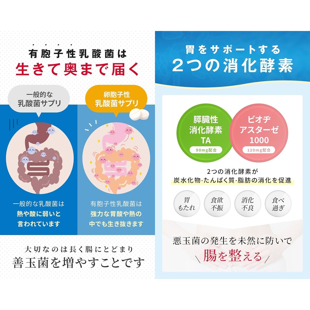 楽天市場】【3個セット☆送料無料】ラクトロン錠（60錠入）【正規品
