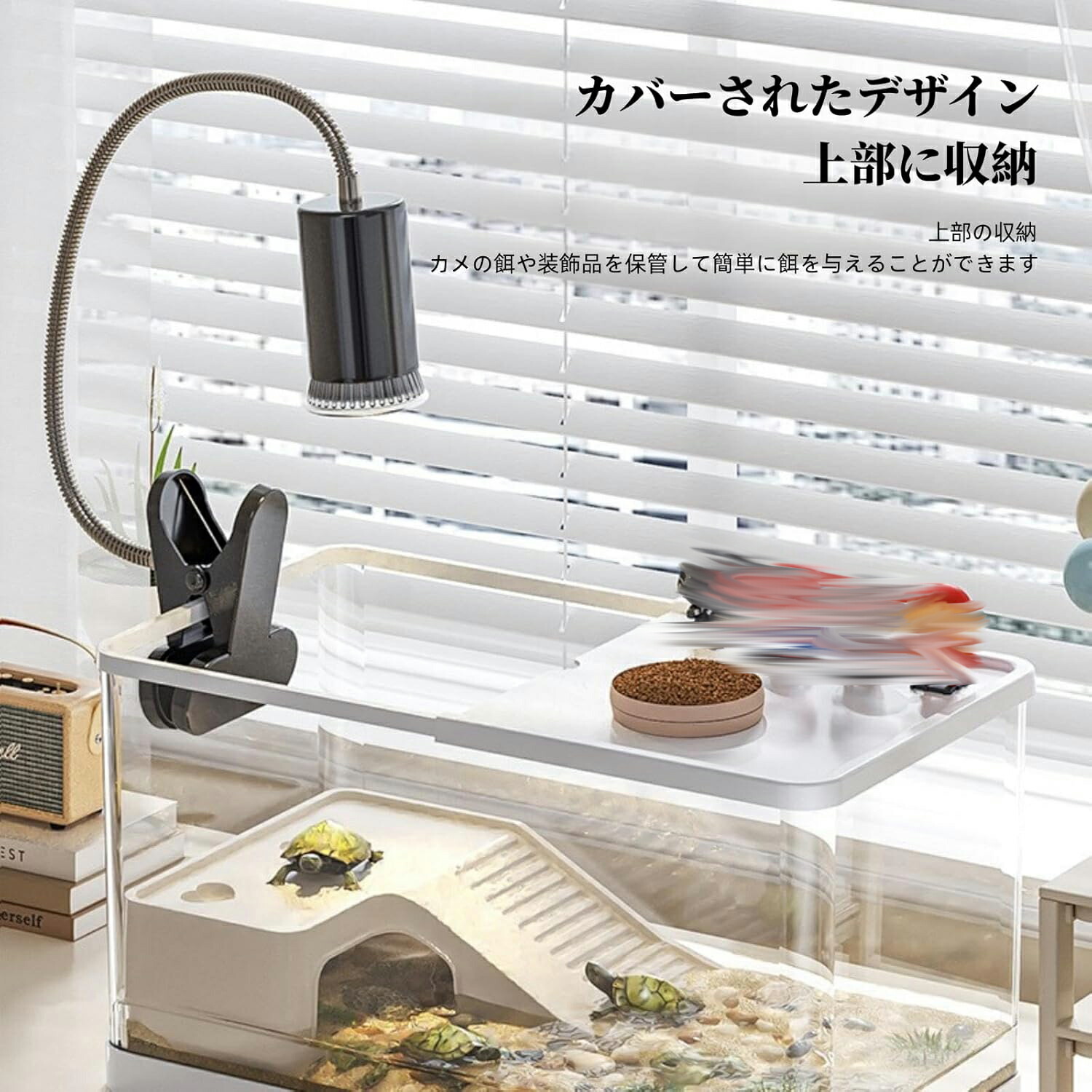 楽天市場】【6%OFFクーポン配布中！】カメ用 飼育ケース 亀の飼育