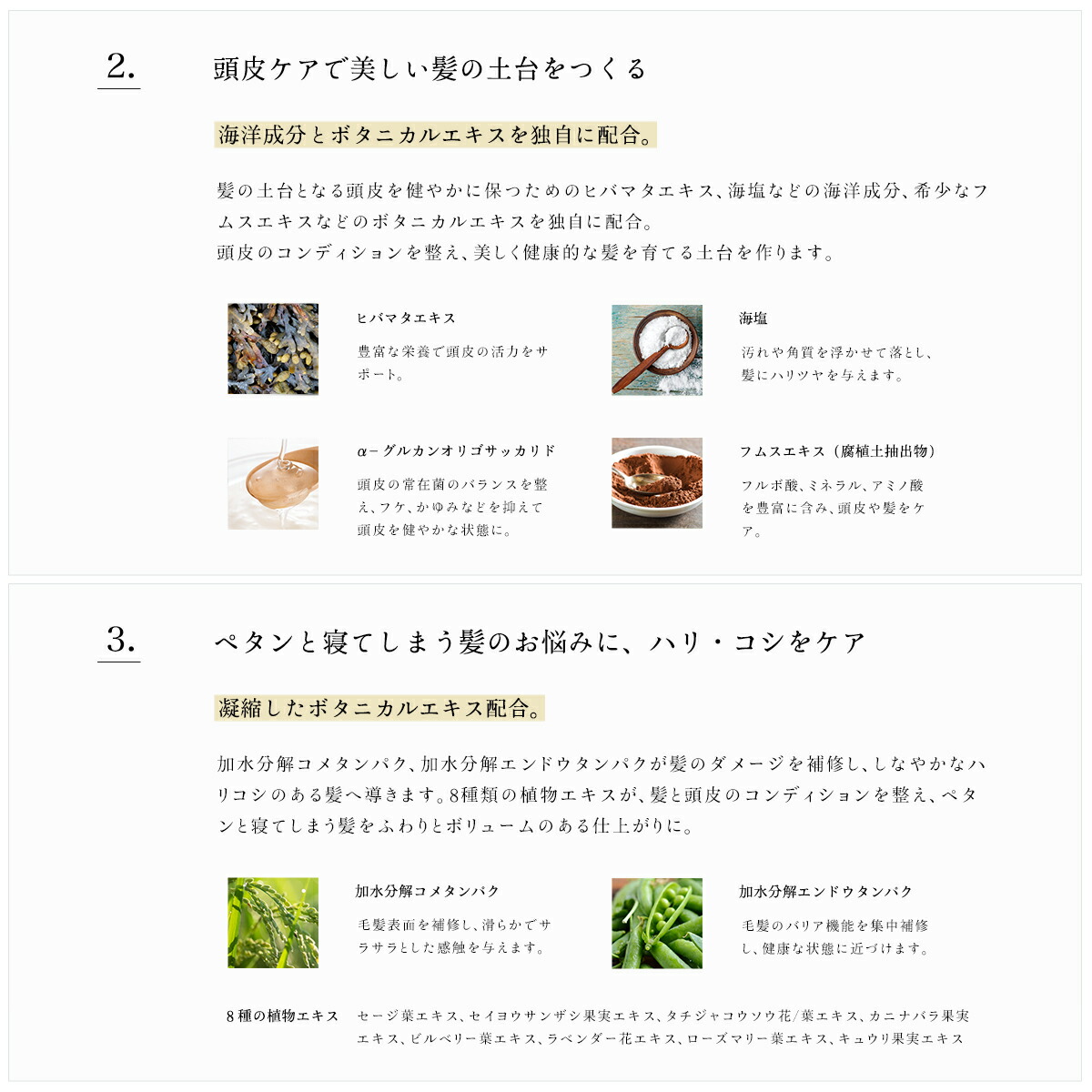 楽天市場】【4月16日以降発送予定】リル ラグジュアリーシャンプー