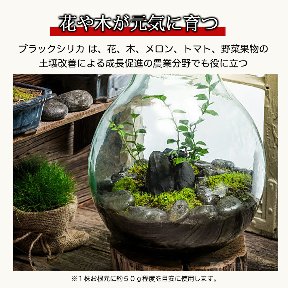 楽天市場】☆SS激安73%オフ→2410円☆ブラックシリカ 原石 15cm 国町産