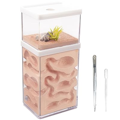 楽天市場】蟻 飼育 石膏の通販