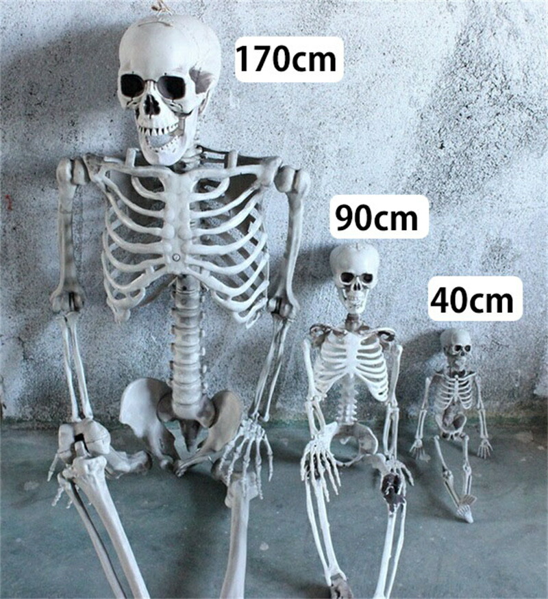 等身大 ガイコツ スカル 等身大 ガイコツ スカル 等身大 ガイコツ