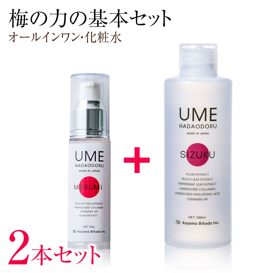 楽天市場】オールインワン（セット｜スキンケア）：美容・コスメ・香水