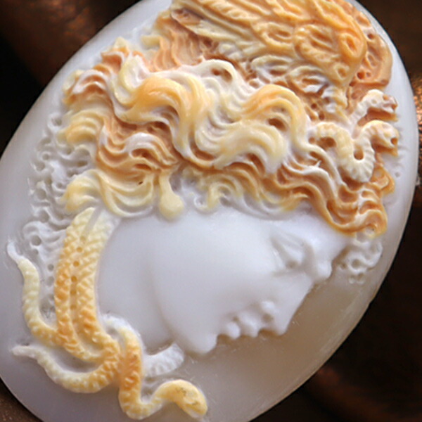 楽天市場】シェルカメオルース【Medousa メドゥーサ】ジュテス氏