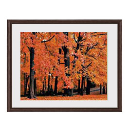 紅葉 絵画 風景」の人気商品一覧 | 安い商品を通販サイトから探す