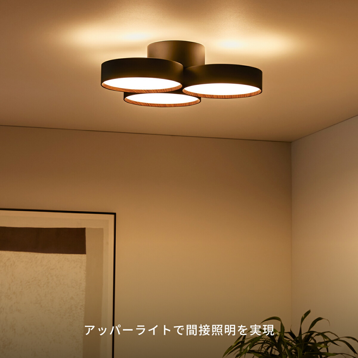 楽天市場】【アートワークスタジオ公式】シーリングライト おしゃれ