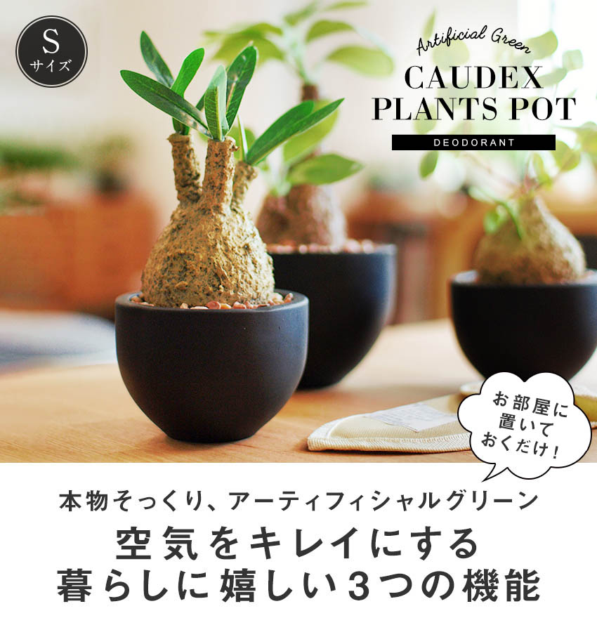 楽天市場】CT触媒 コーデックスS 塊根植物 フェイクグリーン おしゃれ