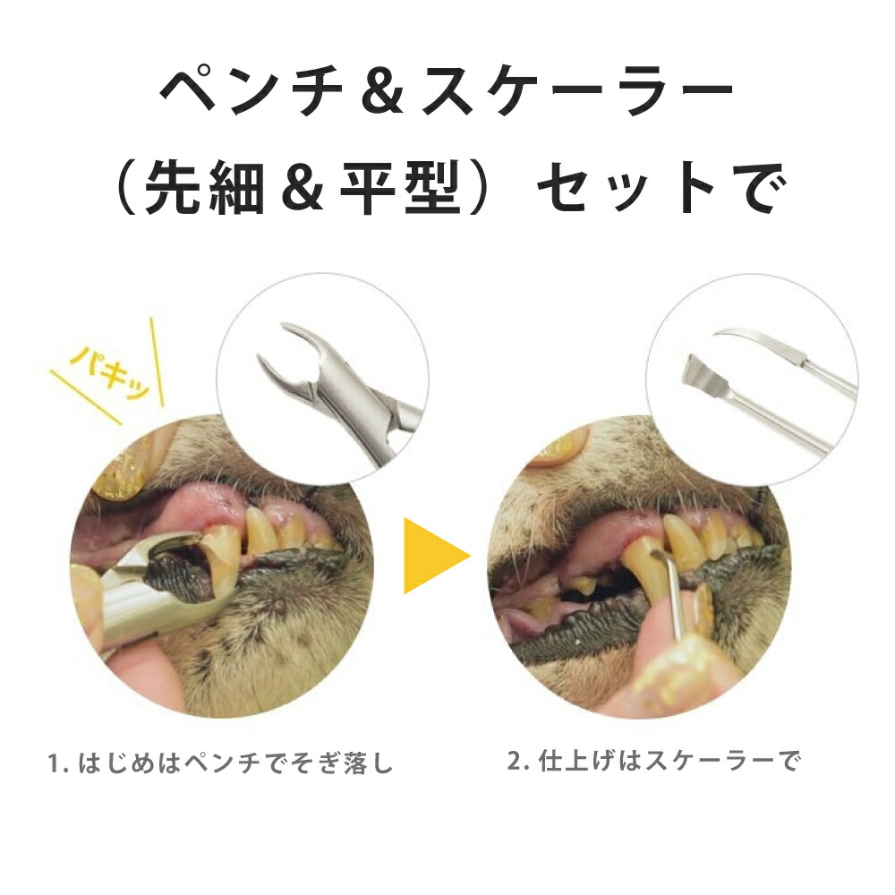 楽天市場】愛犬・愛猫歯石取りペンチとスケラーセット 犬 歯磨き