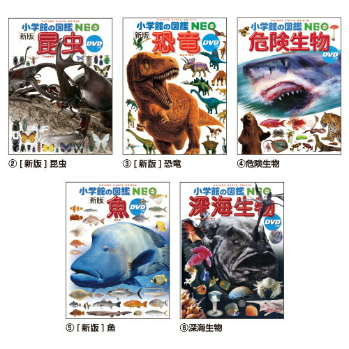 楽天市場】小学館の図鑑NEO （10）科学の実験NEOｶｶﾞｸ【小学館