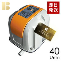 安永エアポンプ 電磁式エアーポンプ 吐出専用(省エネタイプ) AP-40P