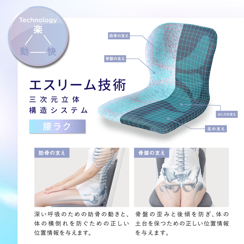 楽天市場】[最新モデル] pinto W ピント 日本製 骨盤 姿勢矯正