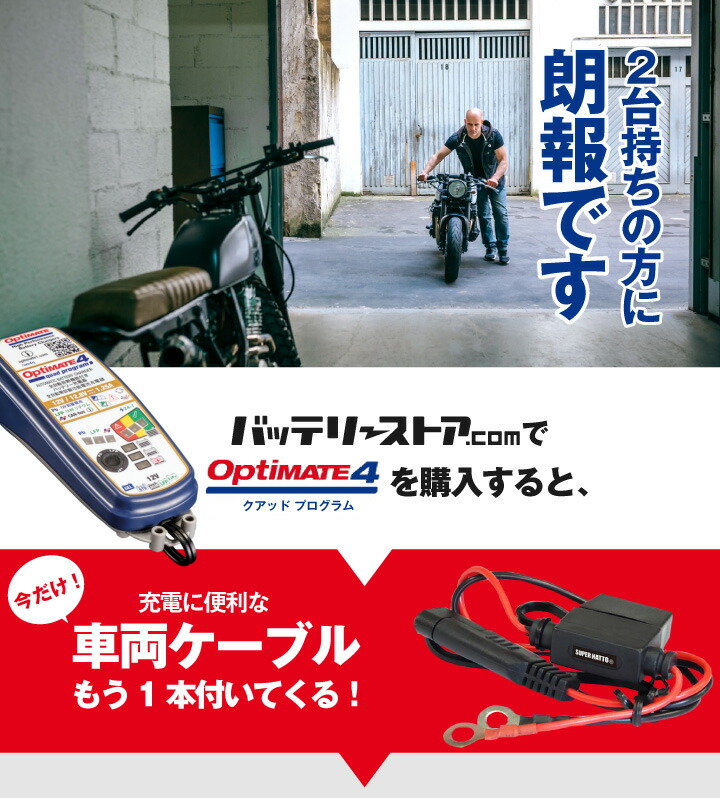 楽天市場】【スーパーSALE☆エントリーでP10倍】バッテリー充電器