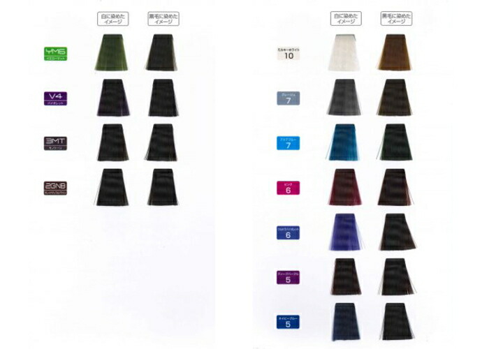 楽天市場】フィヨーレ BLカラー RV10 120g (FIOLE ヘアカラー剤 1剤