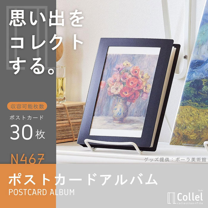 楽天市場】Collel ポストカードアルバム A6サイズ【N-467】収容枚数