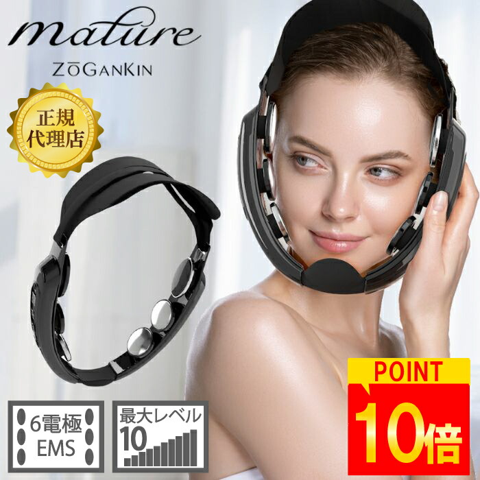 楽天市場】【ポイント10倍！レビューで延長保証！】 ゾーガンキン