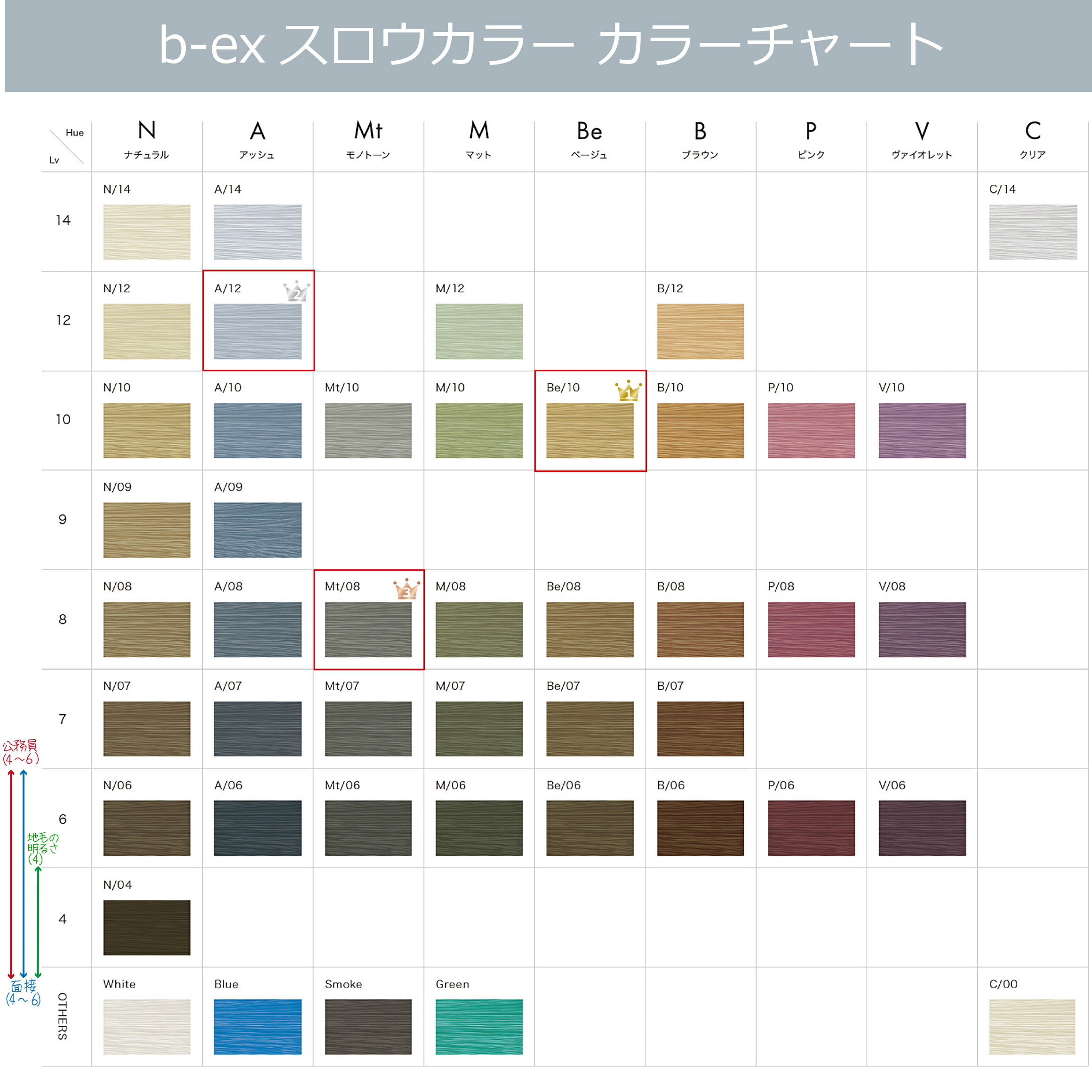 楽天市場】スロウカラー [ バイオレット V/10 ] 100g パープル