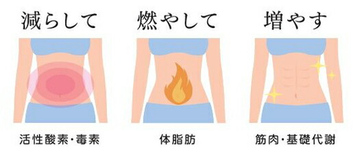 楽天市場】マジョール デリシェイク MAJOR Srotas_DELI SHAKE 24袋入り