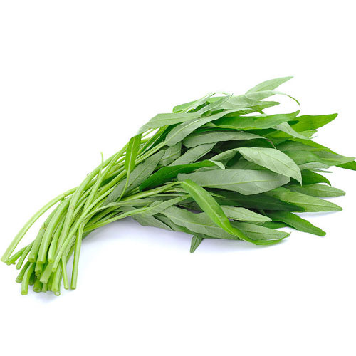 楽天市場】空芯菜（食品）の通販