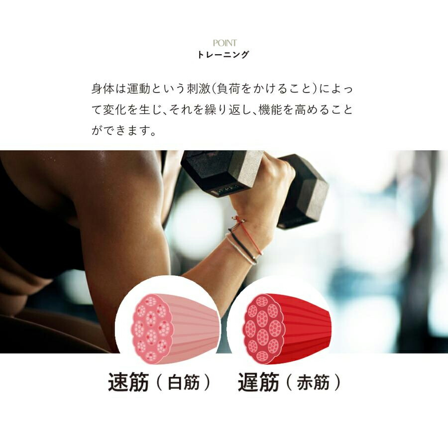 楽天市場】正規販売店 スリマスールフィット SLIMUSCLE FIT フェイス