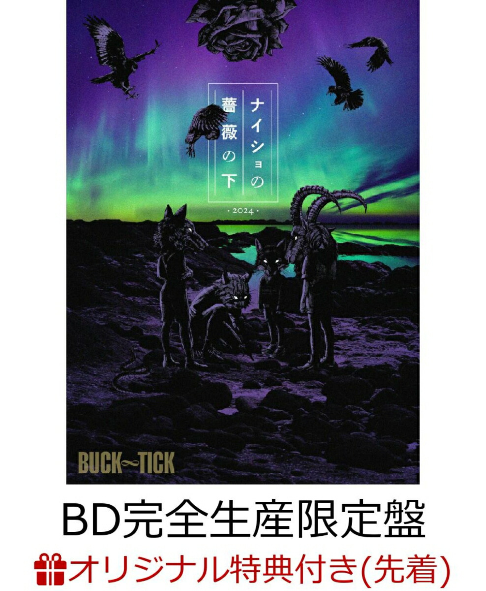 楽天ブックス: ナイショの薔薇の下 2024(DVD完全生産限定盤) - BUCK