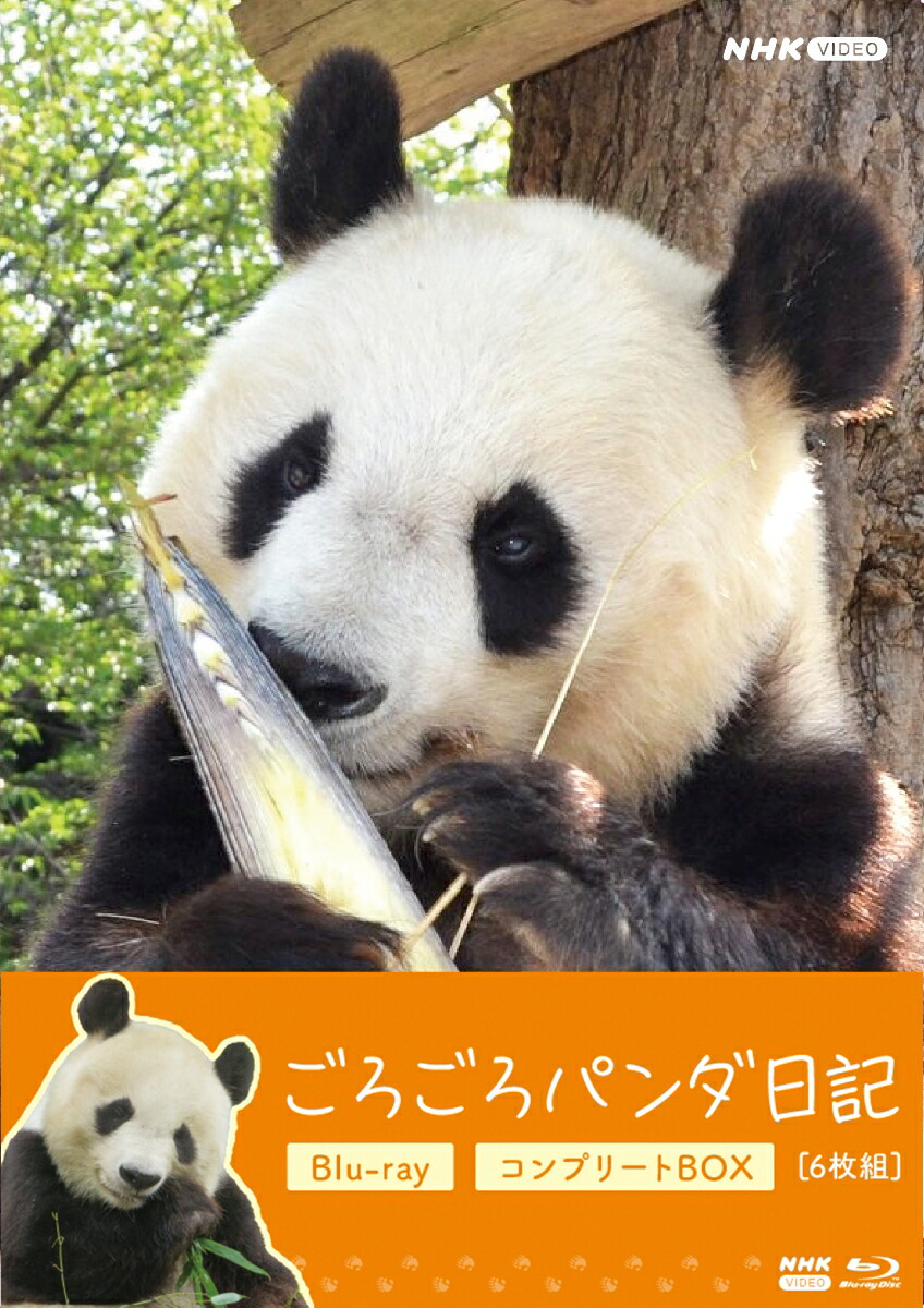 楽天ブックス: イゾラド ～森の果て 未知の人々～ - (ドキュメンタリー