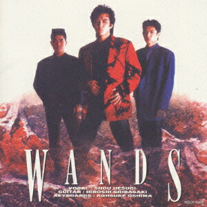 楽天ブックス: [ワンズ] - WANDS - 4940132000317 : CD