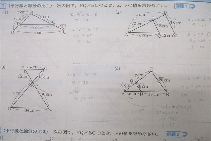 楽天市場】PASTEM パステム/指導書 国語/英語/数学/理科/社会 高校受験