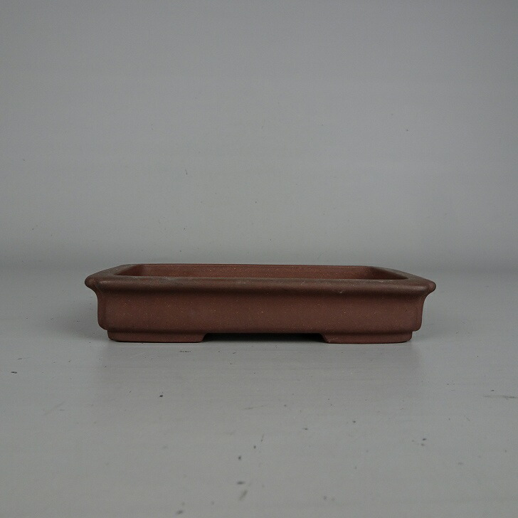 楽天市場】中国宜興の通販