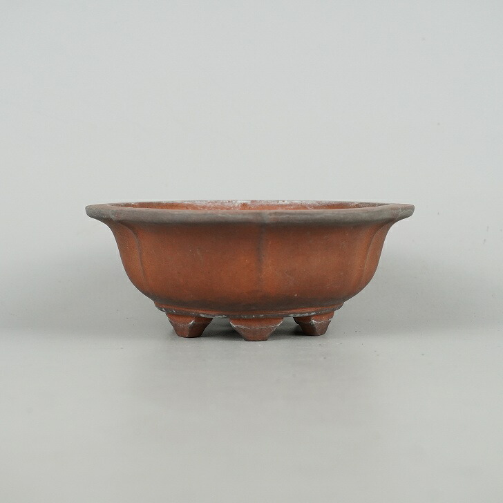 楽天市場】【中古】盆栽鉢 常滑 壱興造記 渡辺 一弘 小型 長辺 約14.2