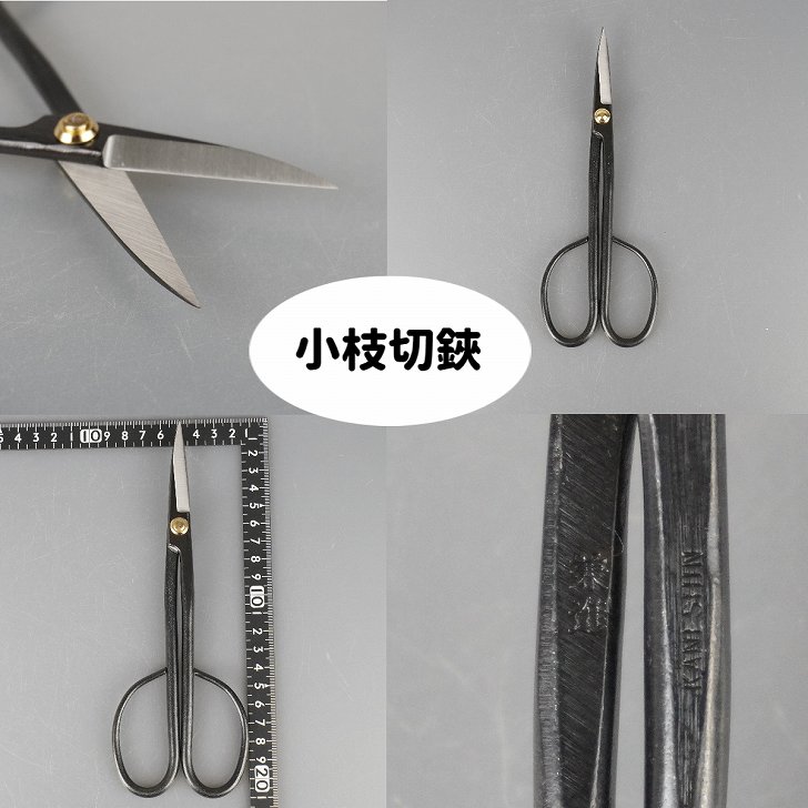 楽天市場】盆栽 道具 セット 剪定ばさみ 兼進刻印 ピンセット