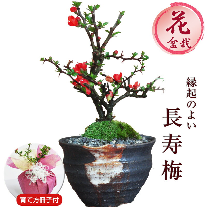 734_1111.jpg?fitin=272:272