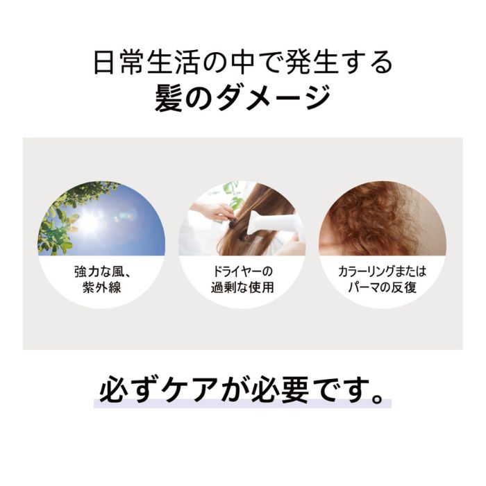 楽天市場】Dr.sis クリームシャンプー ー&トリートメント シリコン