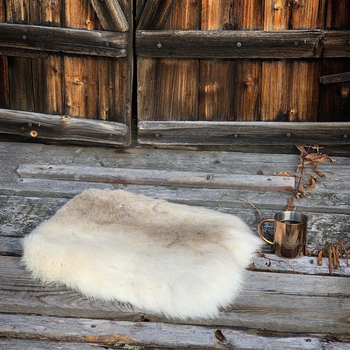 楽天市場】【小サイズ】トナカイ毛皮 シートパッド 天然 敷物 座布団